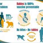 Rabies Vaccine in kathmandu