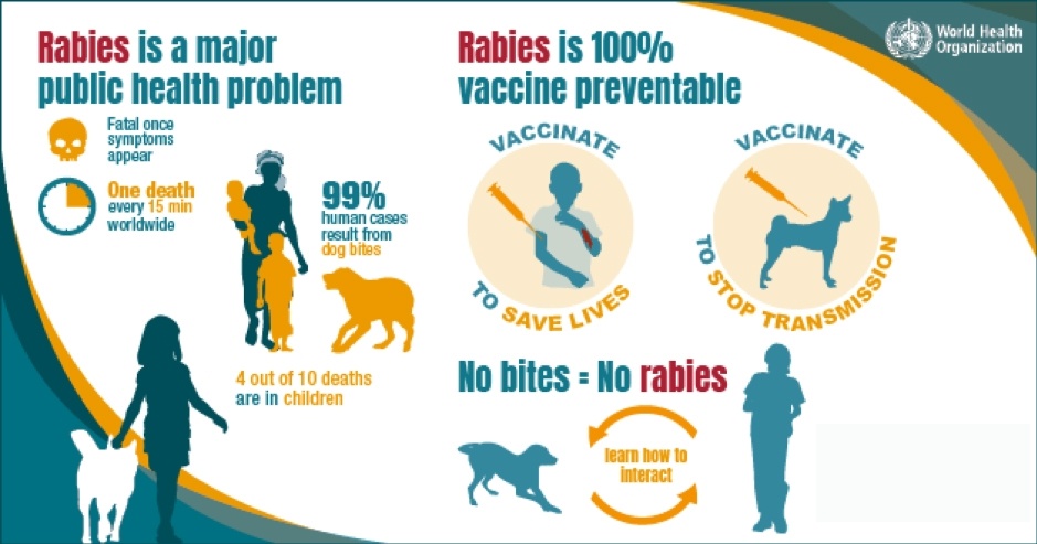 Staying safe from Rabies in Nepal