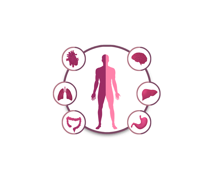 Female Health Package – Full Body Checkup
